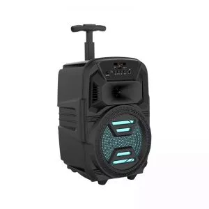 Haut parleur Bluetooth ZQS-6111 